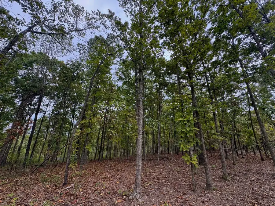 XX Firetower Road, Hardy, AR 72542 - Image #2