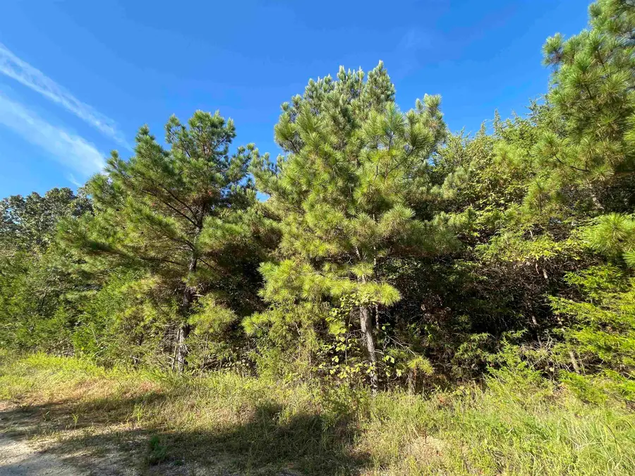 0 Piney Ridge Road, Glencoe, AR 72539 - Image #3