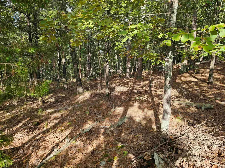 22 Villacarriedo Drive, Hot Springs Village, AR 71909 - Image #2