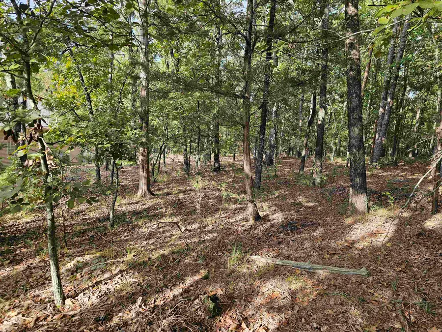 22 Villacarriedo Drive, Hot Springs Village, AR 71909 - Image #3