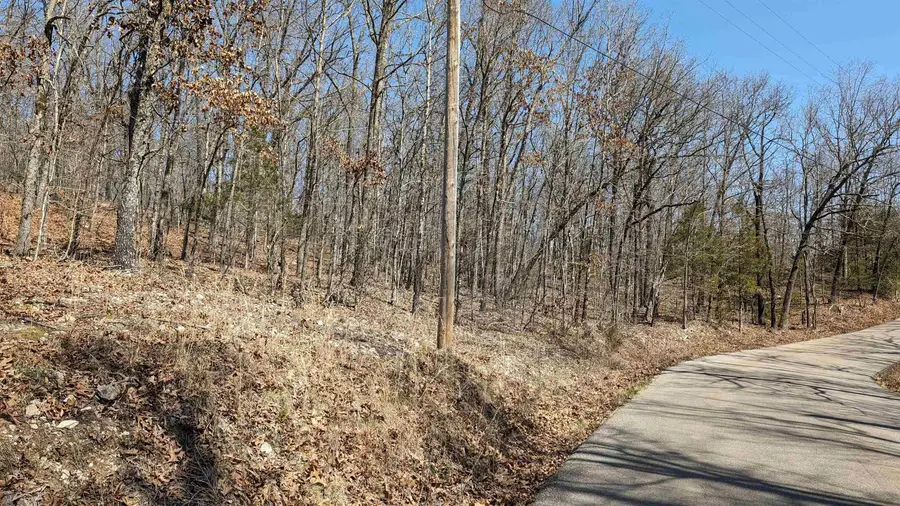 31 Ridgecrest Drive, Highland, AR 72542 - Image #2