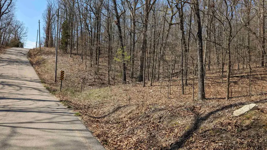 31 Ridgecrest Drive, Highland, AR 72542 - Image #3