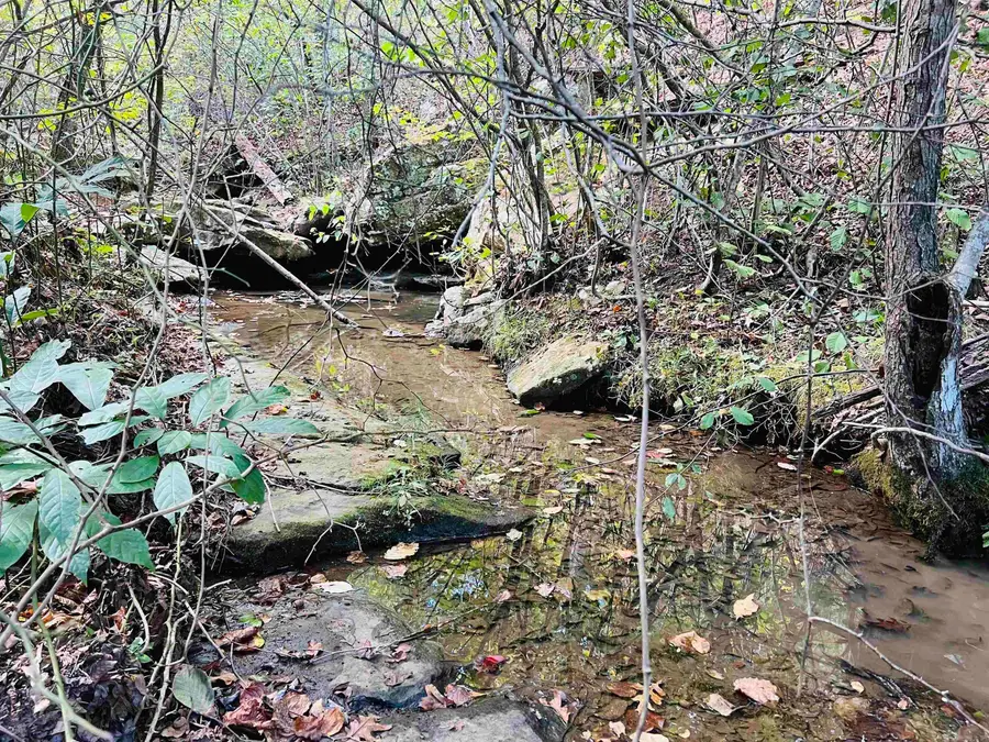 17640 S. Highway 27, Marshall, AR 72650 - Image #2