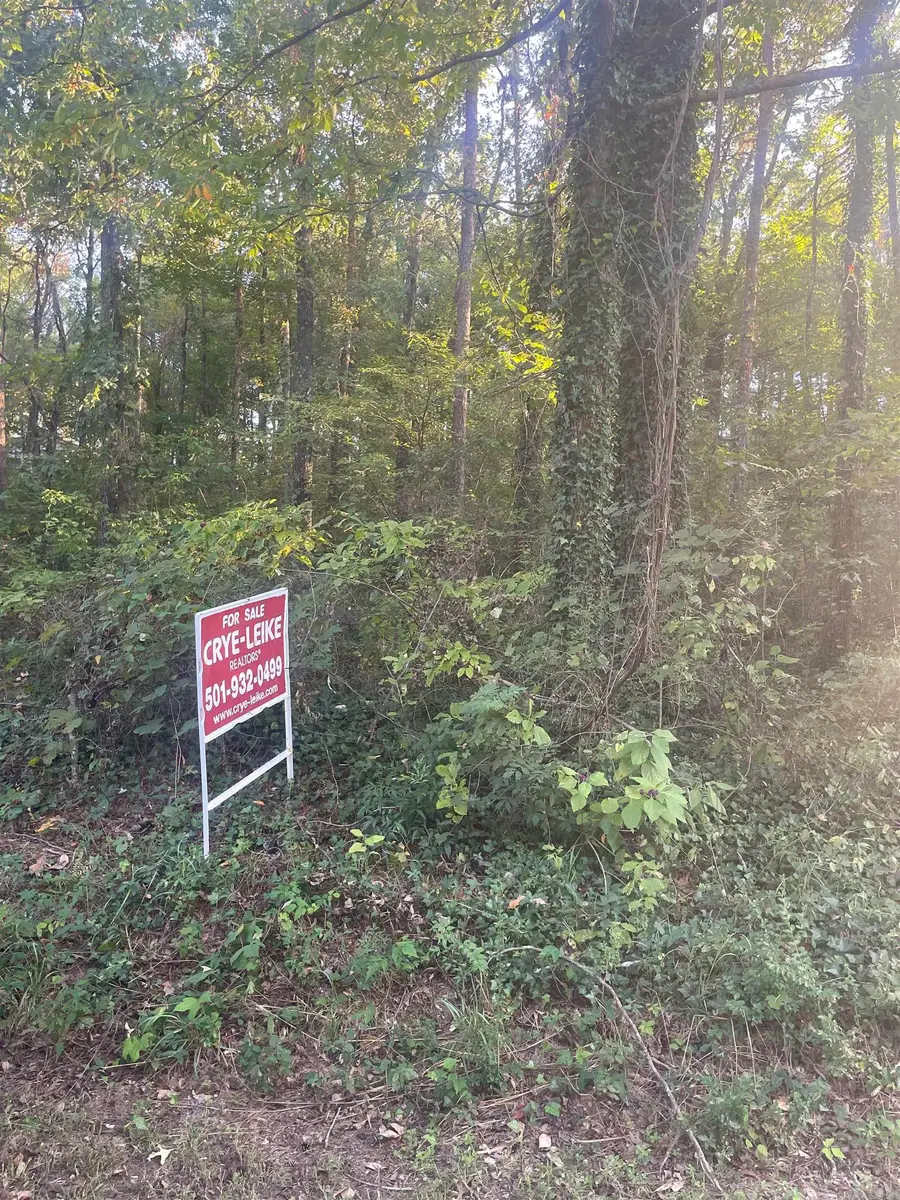 Lot 9,10,11,28 Ridge Rd, Perryville, AR 72126 - Image #2