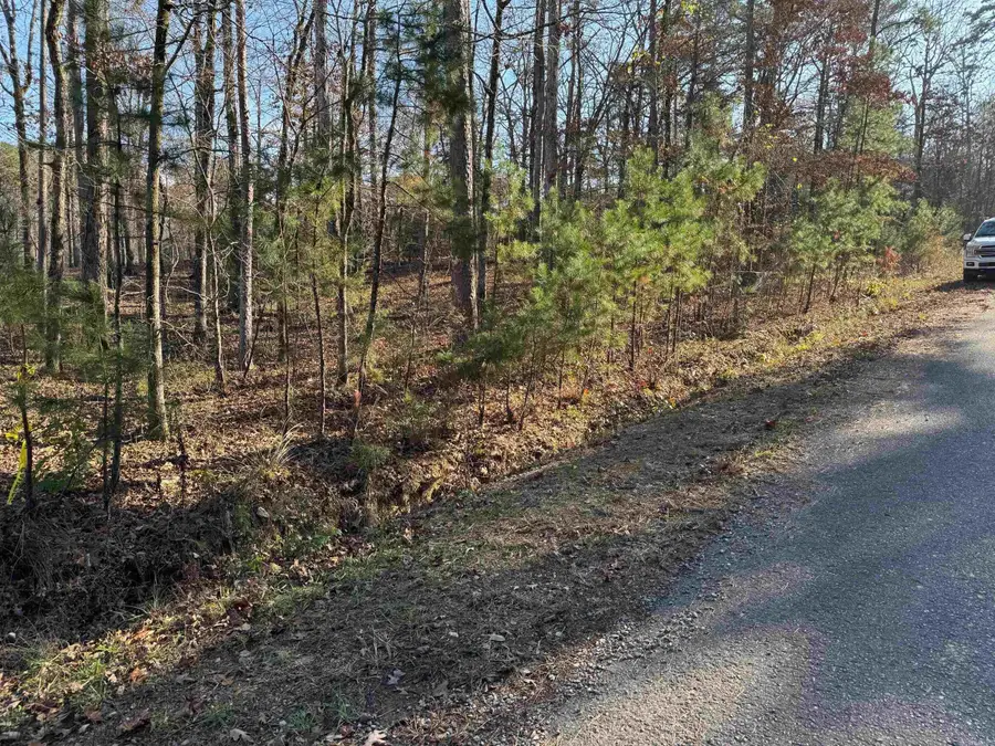 46 Baltanas Way, Hot Springs Village, AR 71909 - Image #2