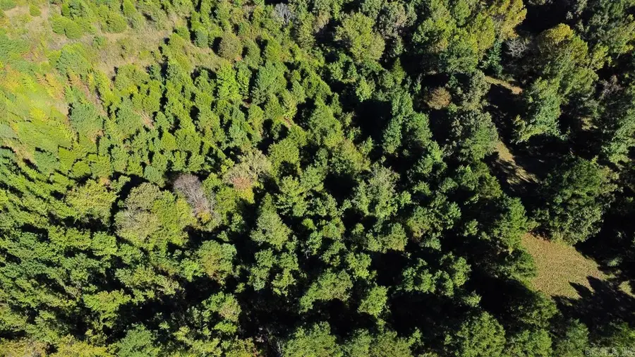 42 Long Ln., Bee Branch, AR 72013 - Image #3