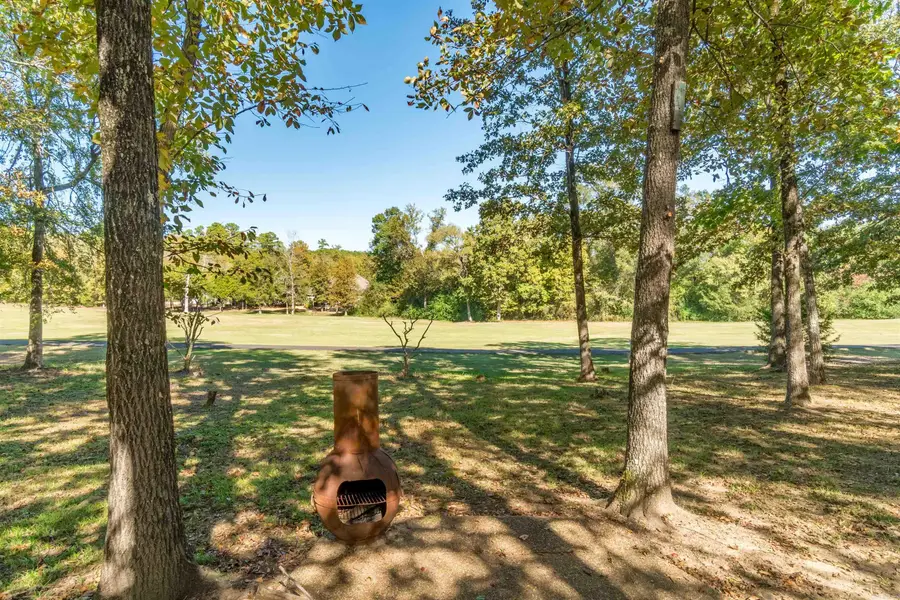 48 Pintuerero Way, Hot Springs Village, AR 71909 - Image #3