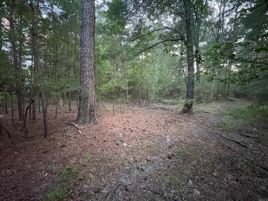 2.69 acres Ouachita 210, Camden, AR 71701 - Image #3