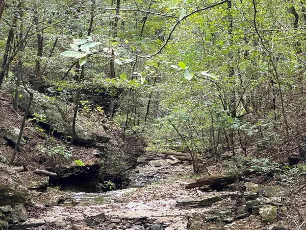 000 Hwy 65, Clinton, AR 72031