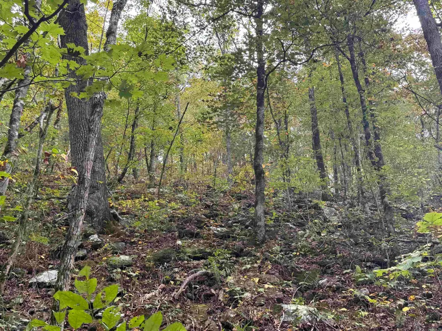 000 Hwy 65, Clinton, AR 72031 - Image #3