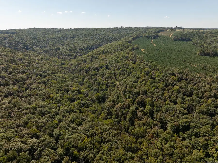 000 Archey Road, Alread, AR 72031 - Image #2