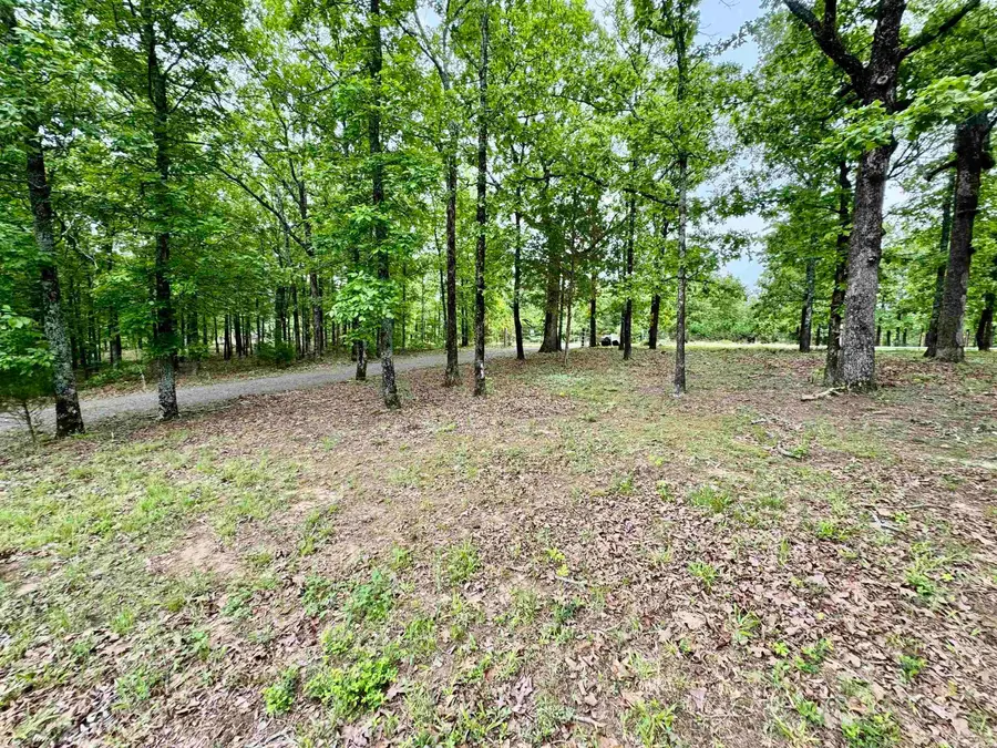 151 Stone Mountain, Conway, AR 72032 - Image #2