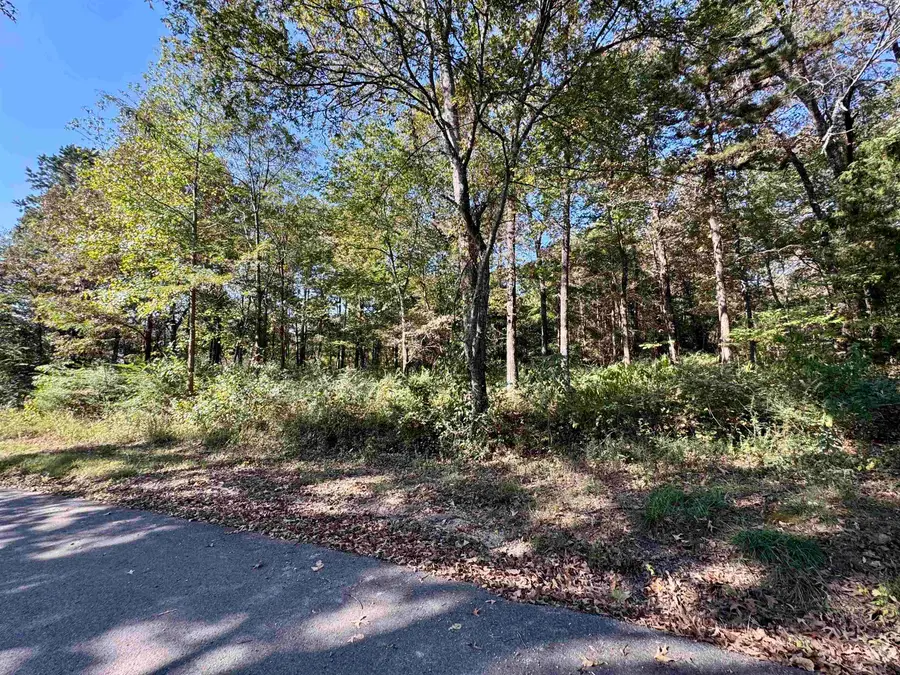 Lot 16 Camp Road, Melbourne, AR 72556 - Image #2