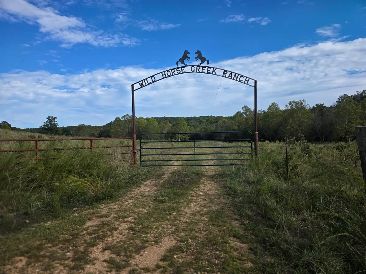 3013-3015 Possum Trot Road, Ash Flat, AR 72513 - Image #1