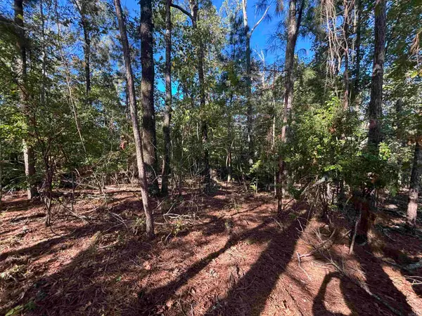 0 Freda Lane (south Lot), Sheridan, AR 72150