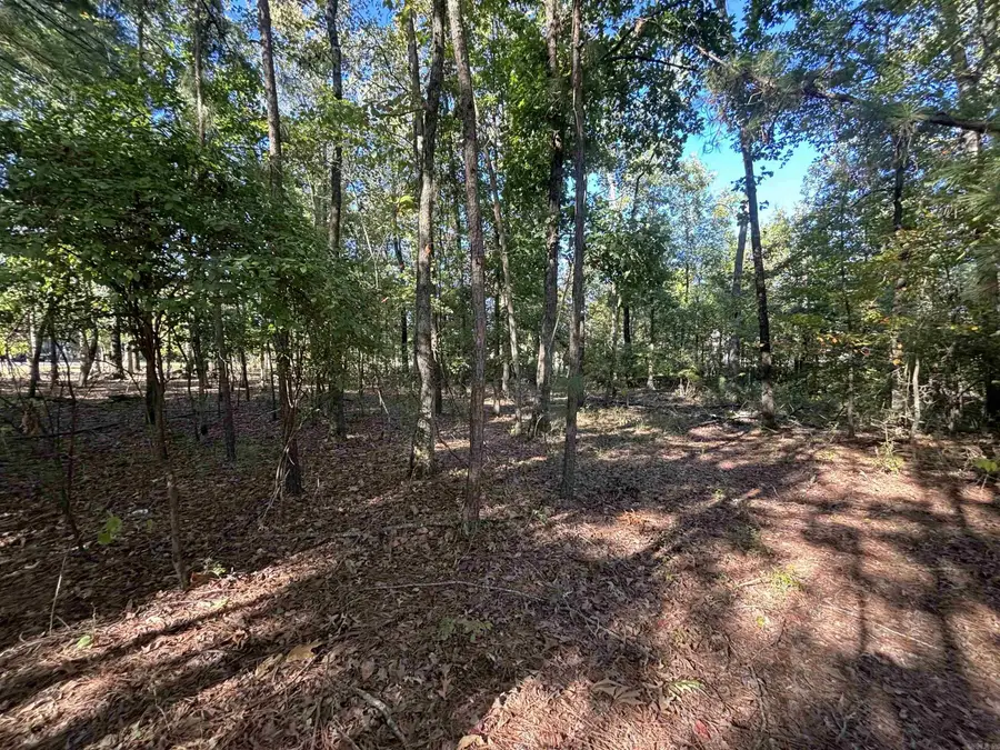 0 Freda Lane (north Lot), Sheridan, AR 72150 - Image #3
