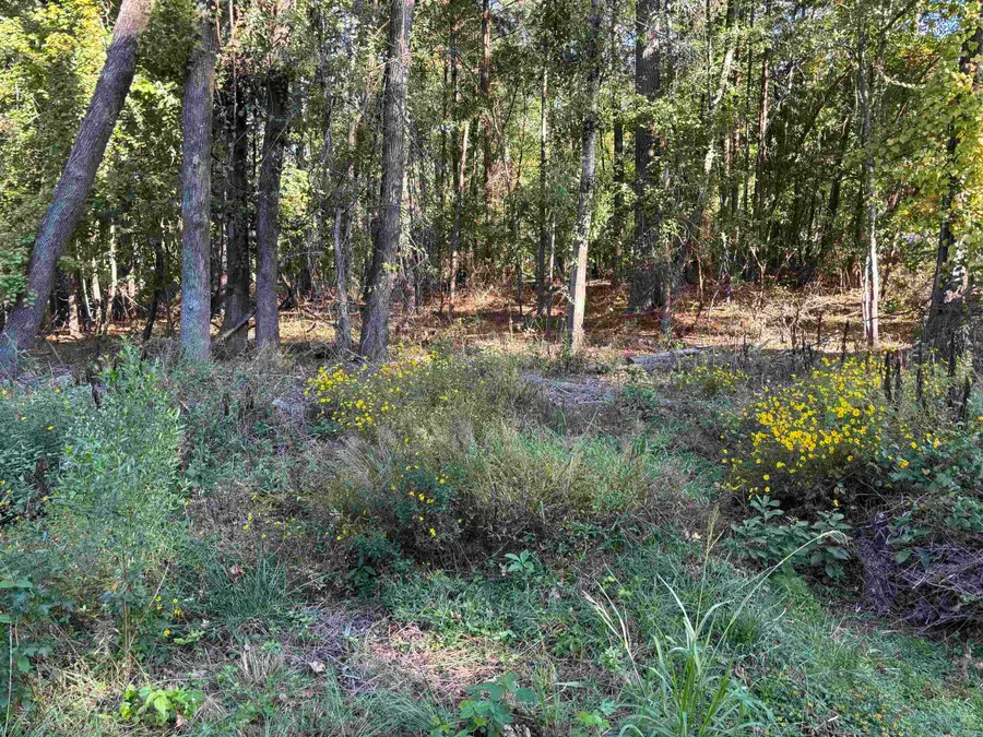 0 Gary Lane, Sheridan, AR 72150 - Image #2