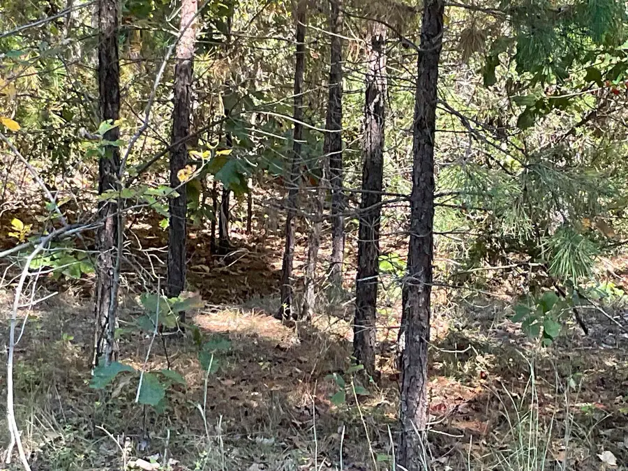 301-501 Meade Road, Choctaw, AR 72031 - Image #2