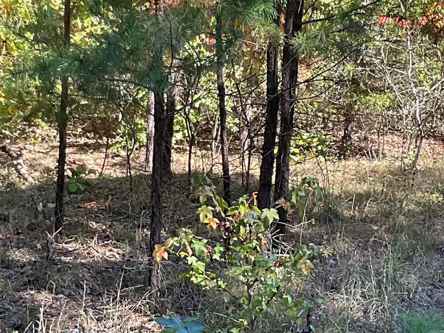 301-501 Meade Road, Choctaw, AR 72031 - Image #3