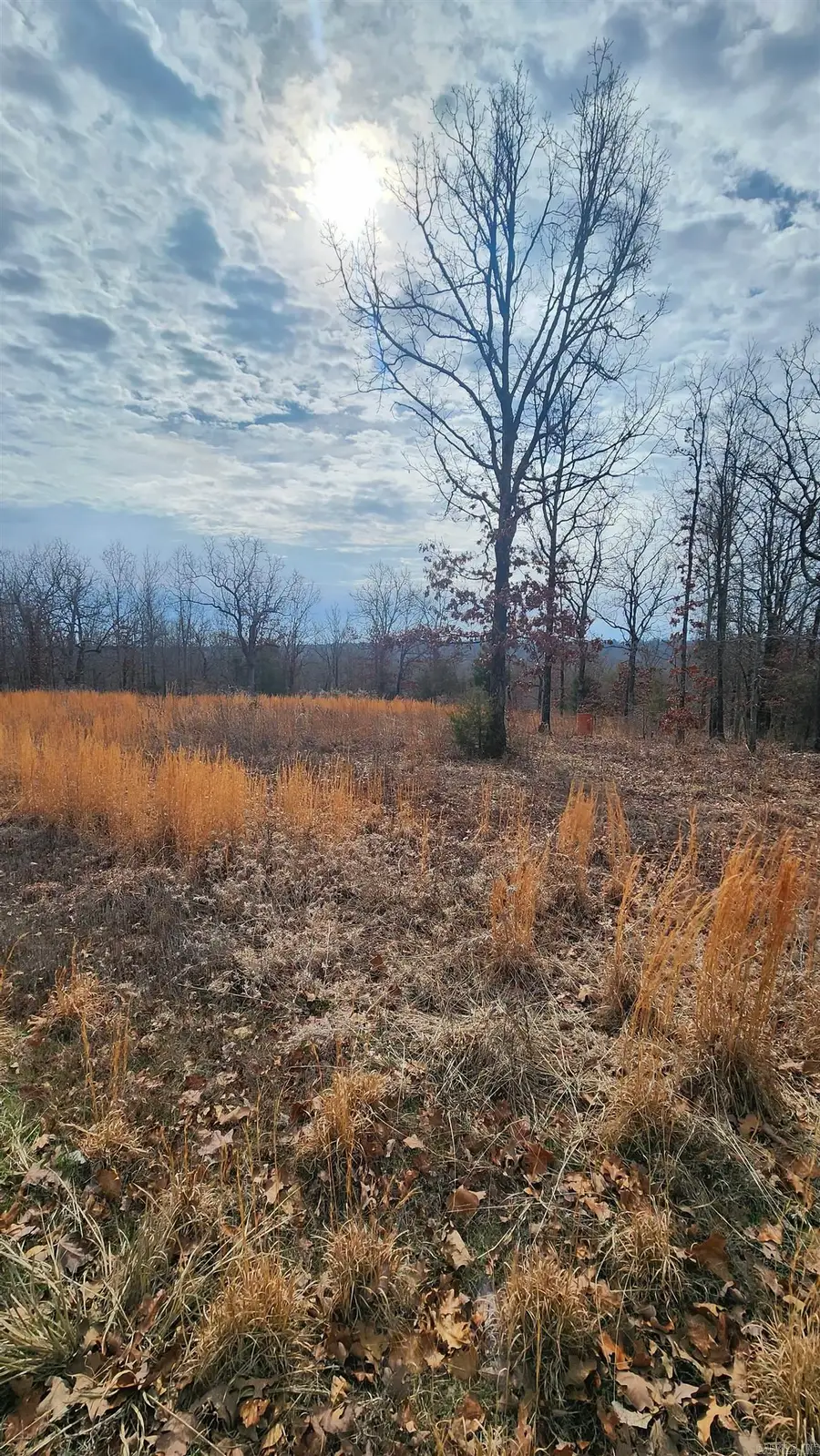 15 Buena Vista Dr, Jacksonville, AR 72076 - Image #3