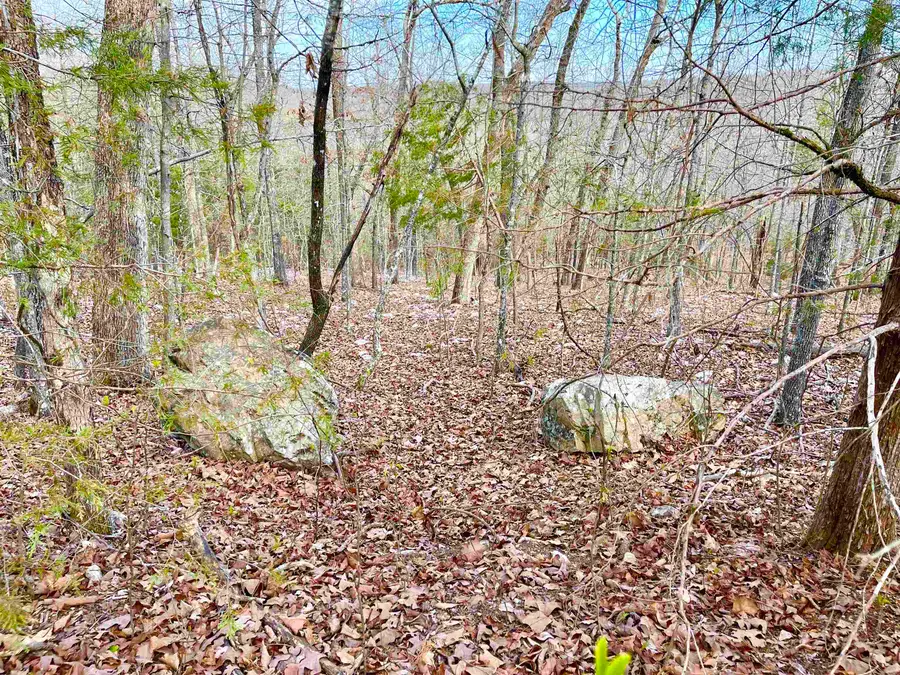 0 Coweta Drive, Cherokee Village, AR 72529 - Image #2