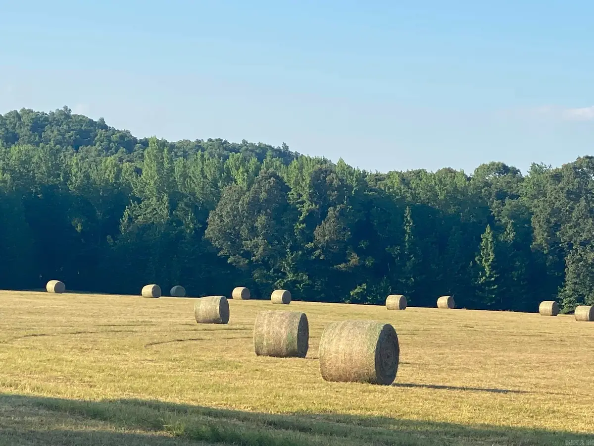 206 Manning Road, Mount Vernon, AR 72111 - Image #1