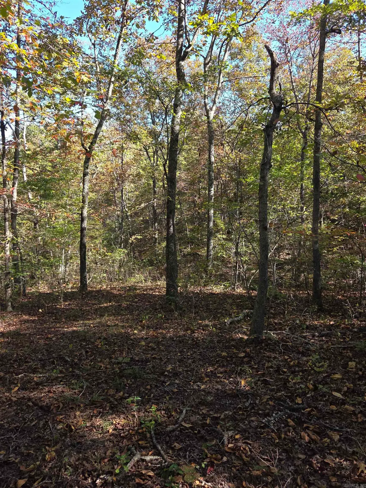 0 Karen Drive, Dennard, AR 72629 - Image #1