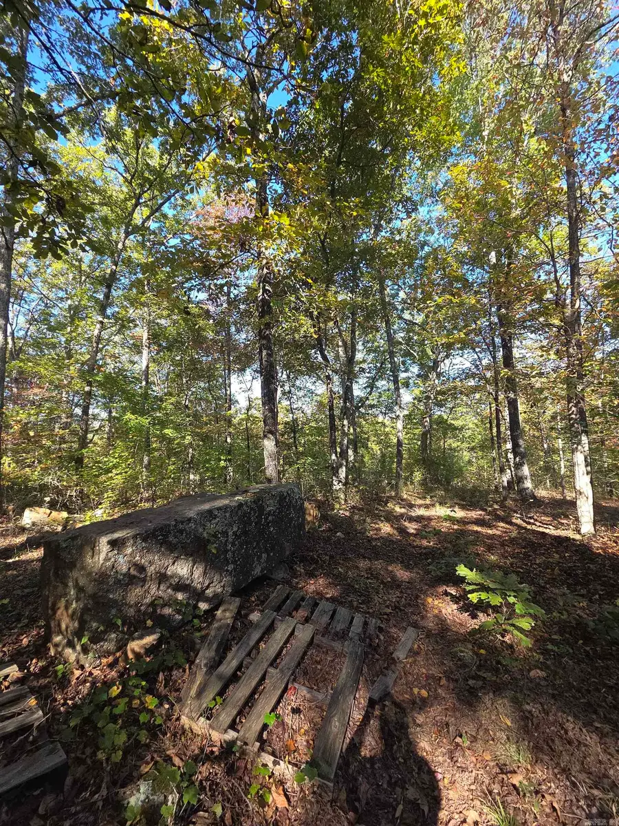 0 Karen Drive, Dennard, AR 72629 - Image #2