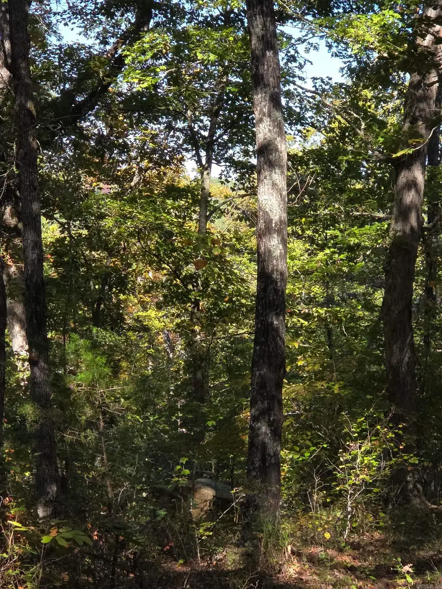 0 Karen Drive, Dennard, AR 72629 - Image #3