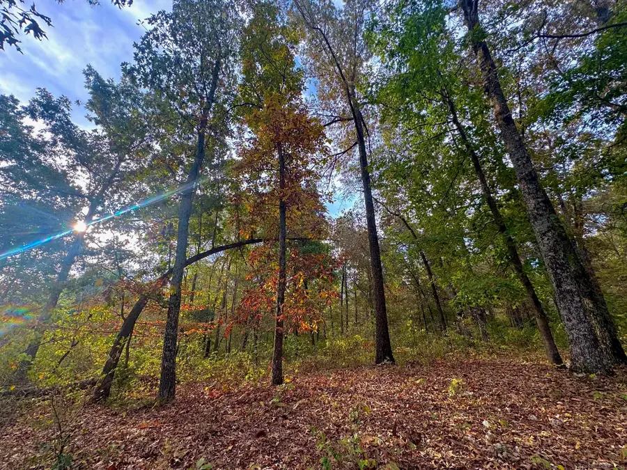 Address Withheld By Seller, Ash Flat, AR 72513 - Image #3