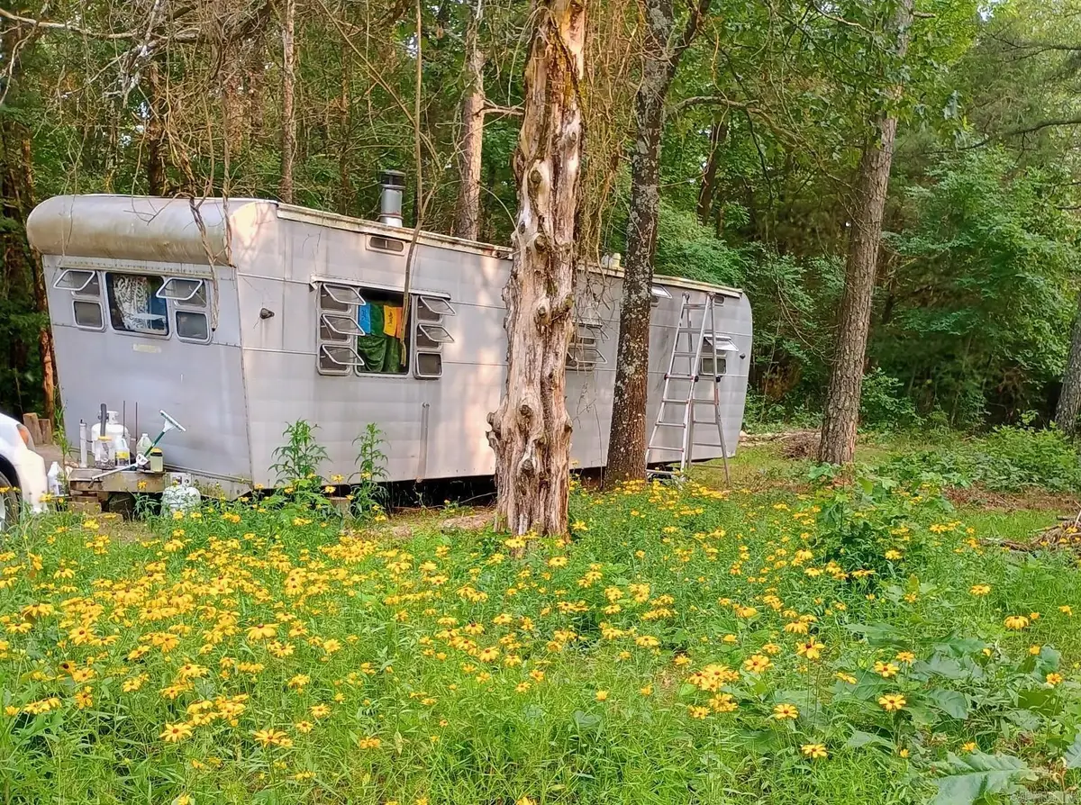 313 Bobbits Lane, Clinton, AR 72031 - Image #1