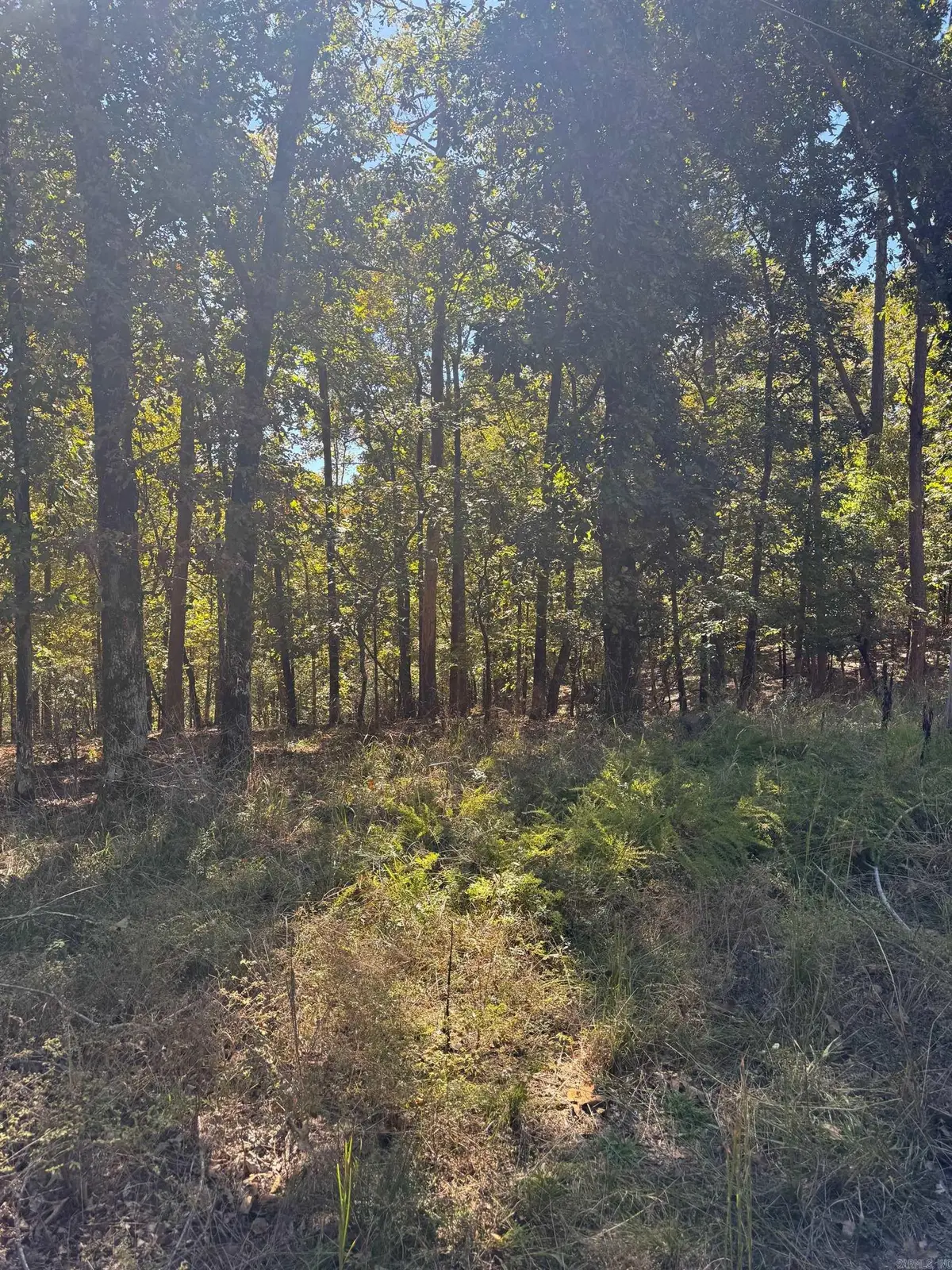 Lot 859 Morningside Drive, Malvern, AR 72104 - Image #1