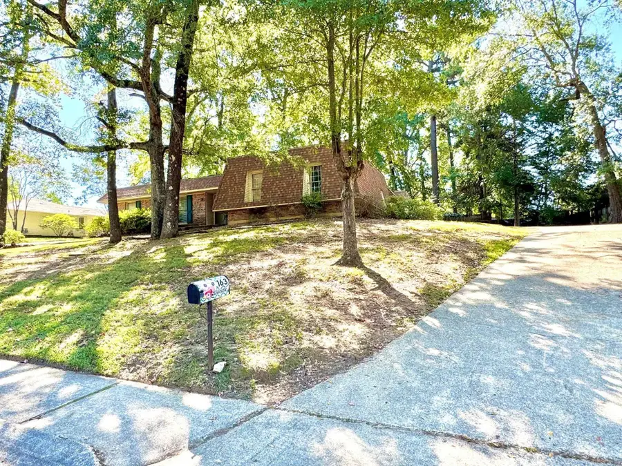 163 Glenwood Drive, Monticello, AR 71655 - Image #3