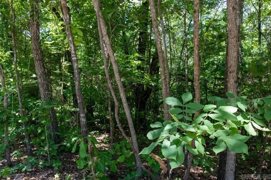 0 View Point Drive, Bigelow, AR 72016 - Image #2