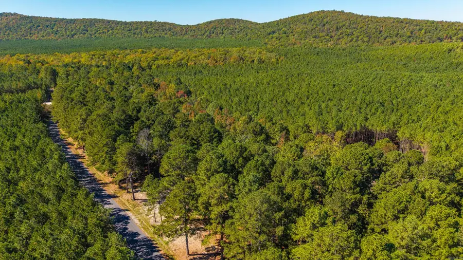 003 Breshears Rd, Hot Springs, AR 71901 - Image #3