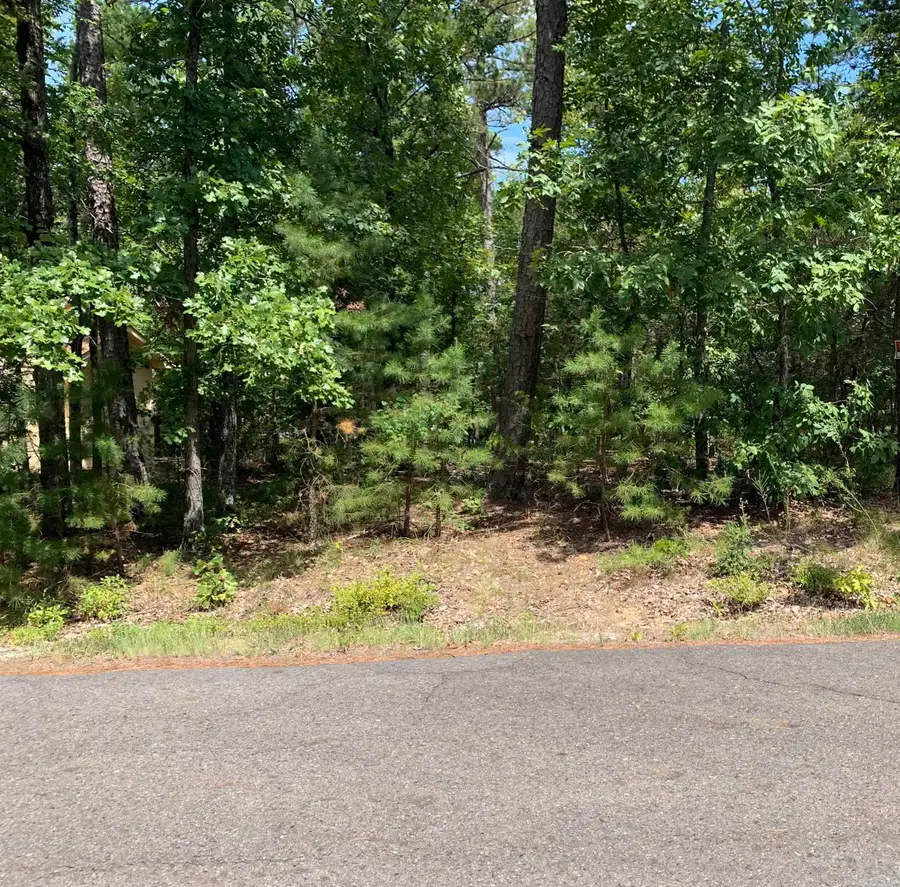 15 Promesa Lane, Hot Springs Village, AR 71909 - Image #2