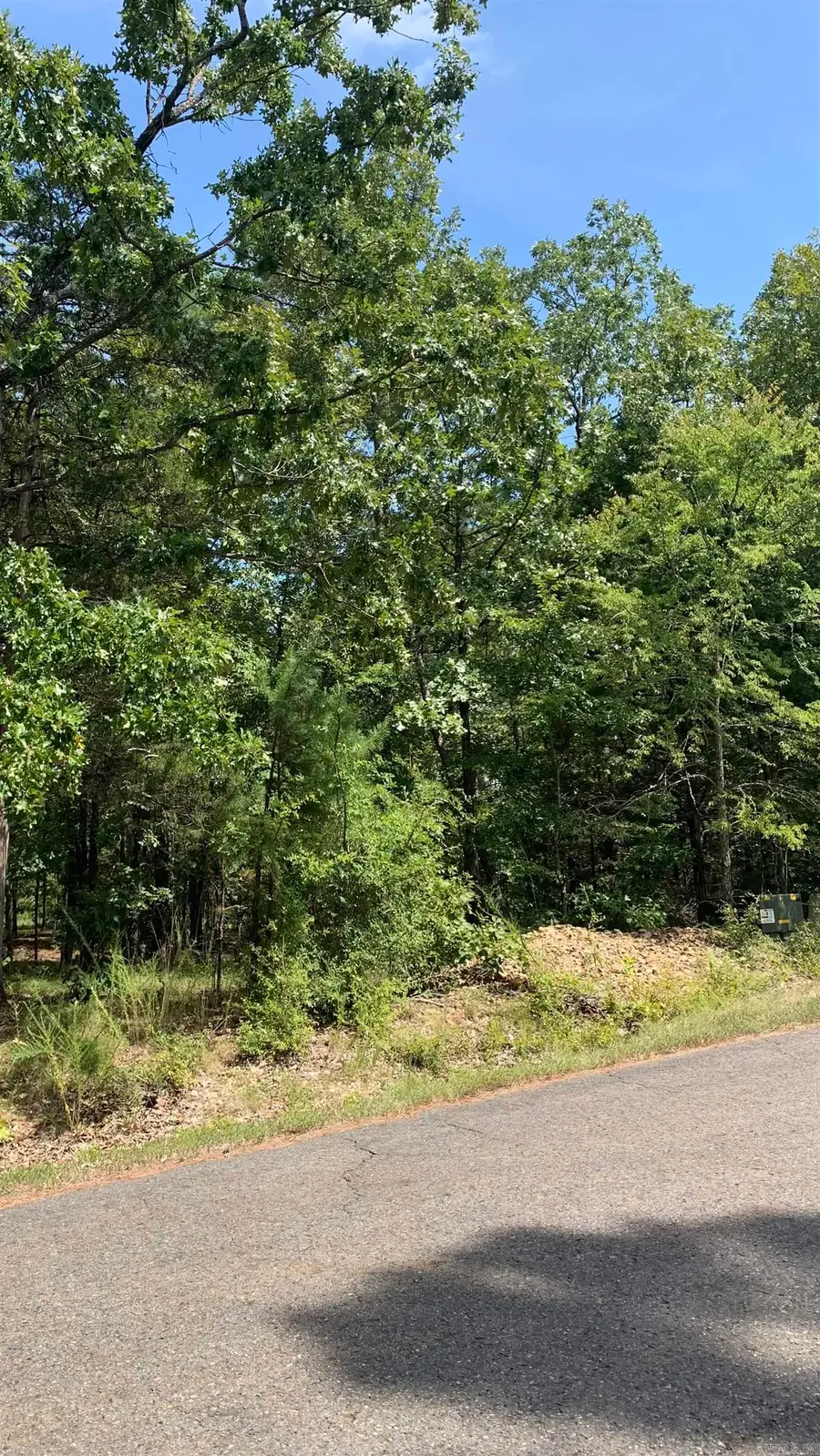 15 Promesa Lane, Hot Springs Village, AR 71909 - Image #3