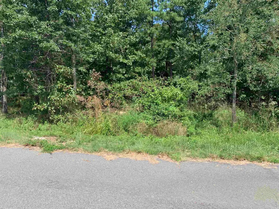 32 Ochavo Way, Hot Springs Village, AR 71909 - Image #2