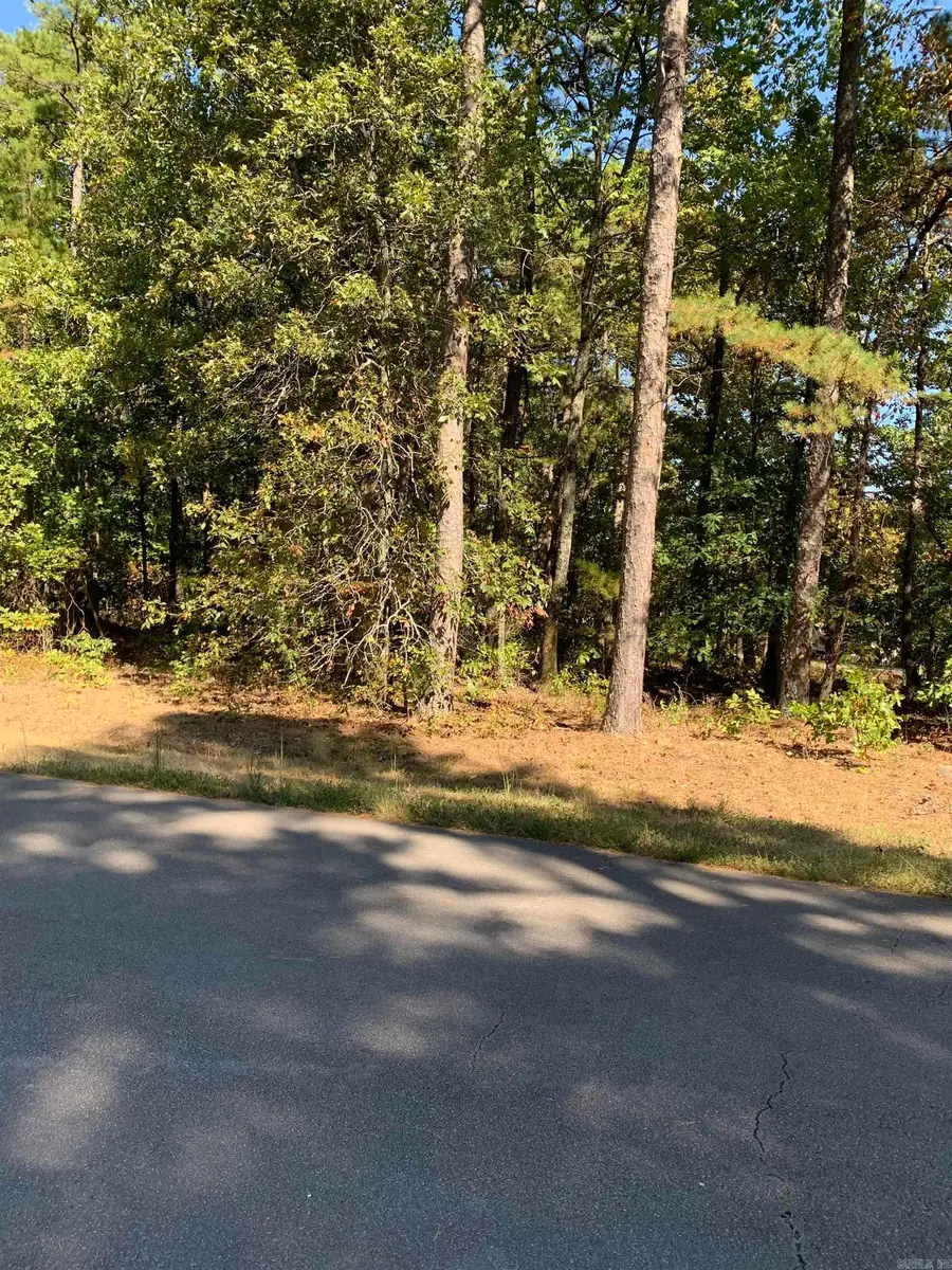 5 Peral Lane, Hot Springs Village, AR 71909 - Image #2