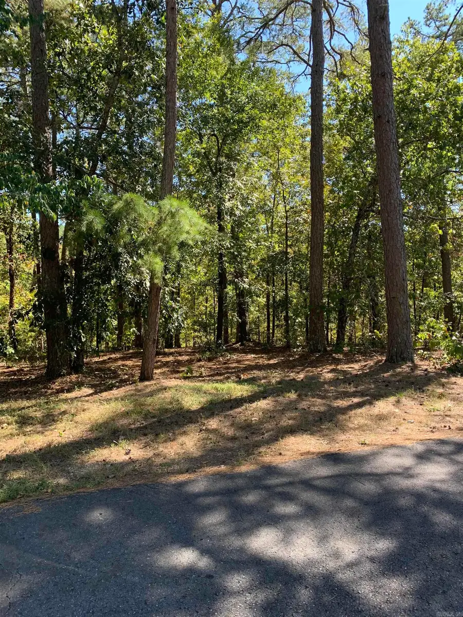 8 Alava Way, Hot Springs Village, AR 71909 - Image #3