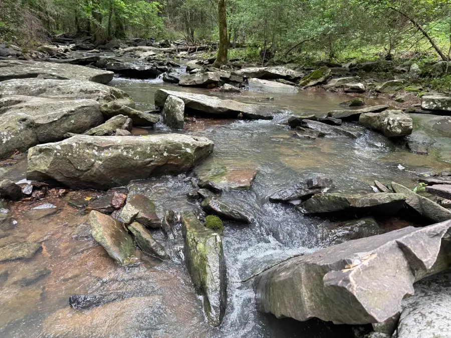 25942 E 14 Highway, Mountain View, AR 72560 - Image #2