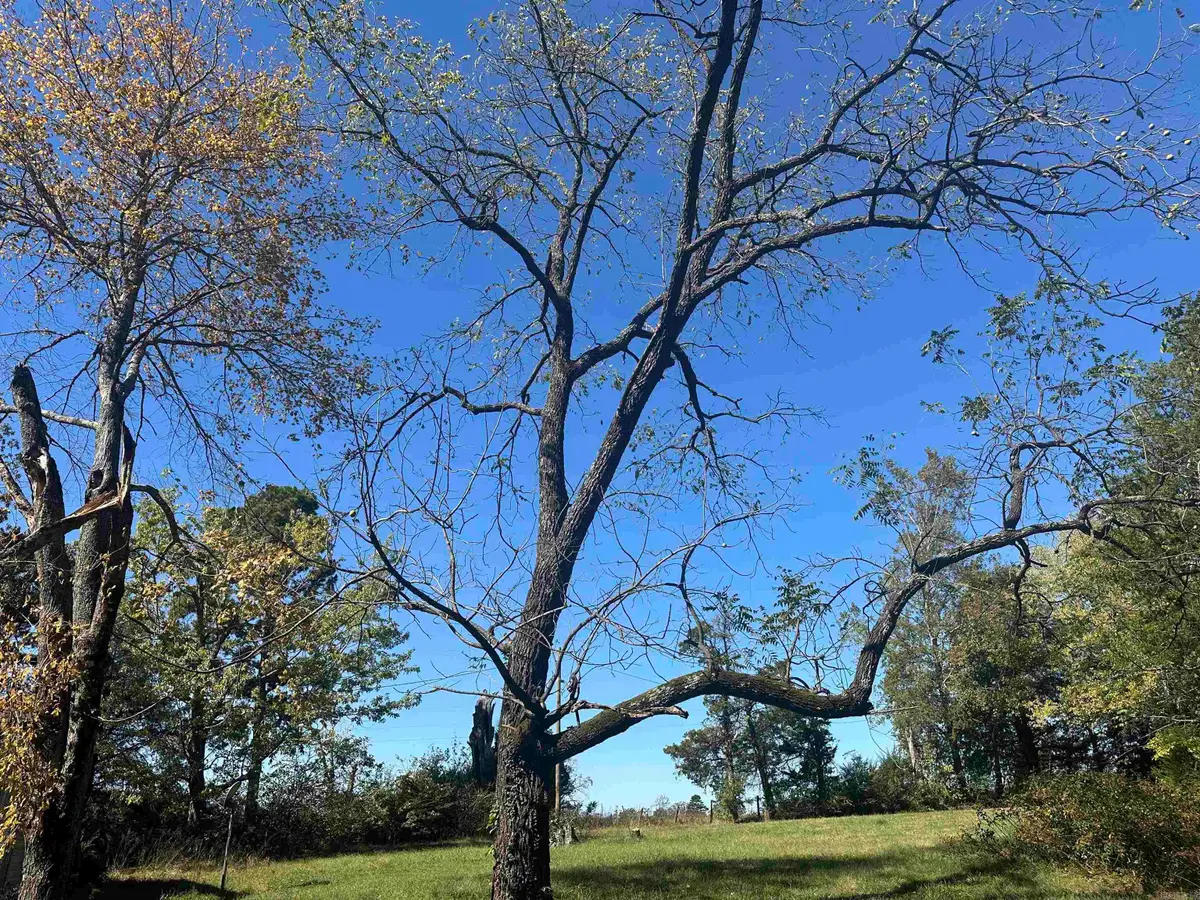 159 Brownsville Springs Rd, Greers Ferry, AR 72067 - Image #1