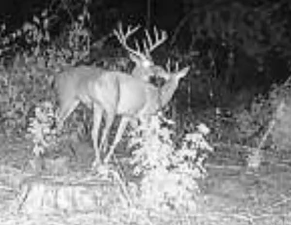 Address Withheld By Seller, Lonoke, AR 72086