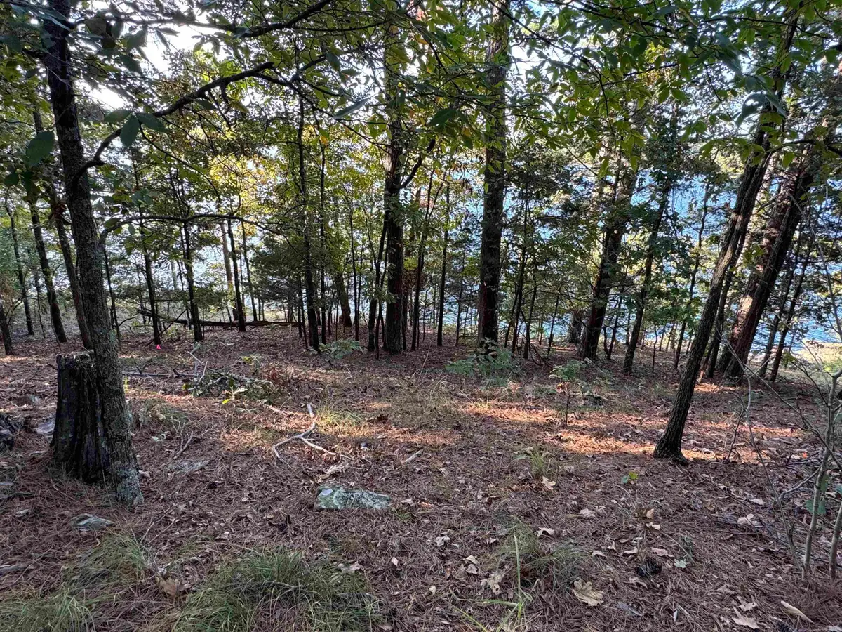 Lot 22 Island Shores Drive, Drasco, AR 72530 - Image #1