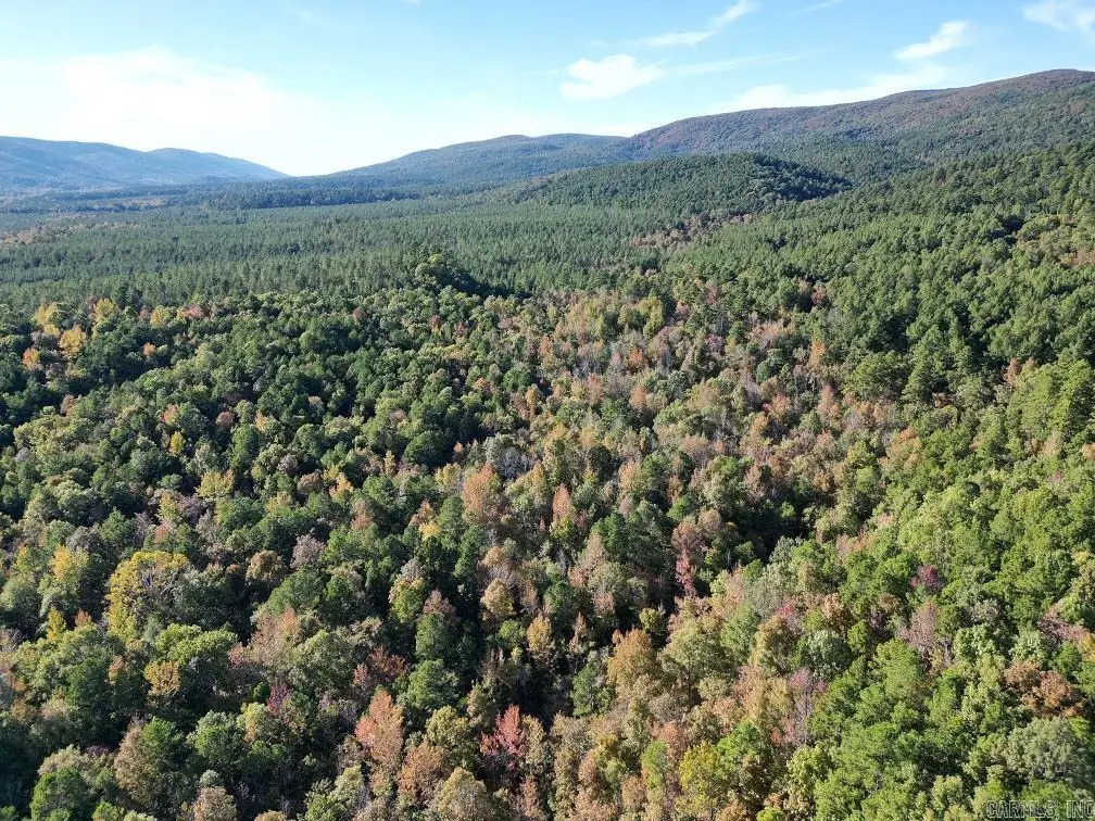 Unk Polk Road 90, Mena, AR 71953 - #1