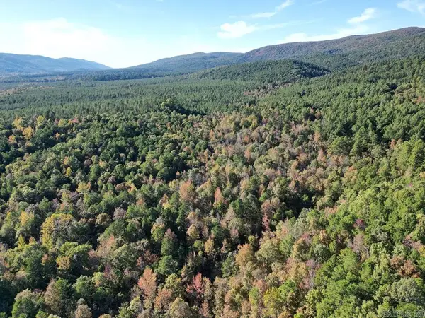 Unk Polk Road 90, Mena, AR 71953