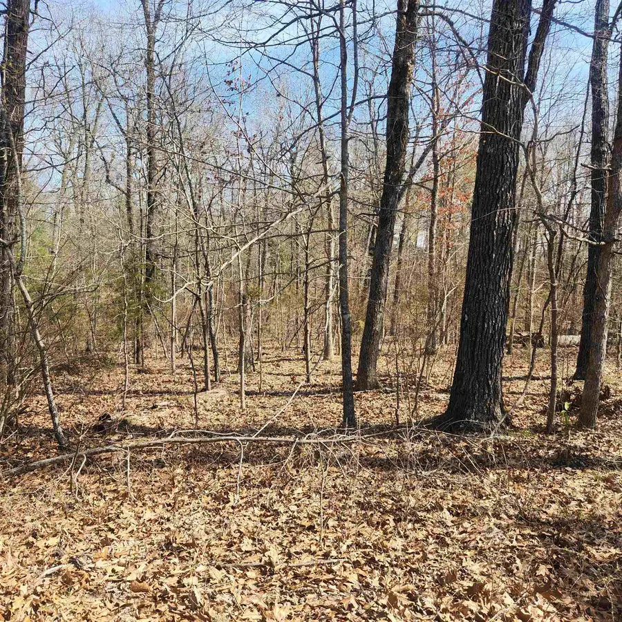 L-7, B-29 Miccosukee Circle, Cherokee Village, AR 72529 - Image #2