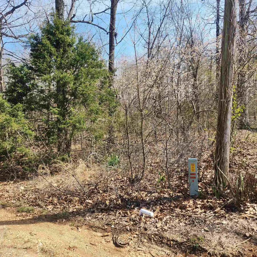 L-7, B-29 Miccosukee Circle, Cherokee Village, AR 72529 - Image #3