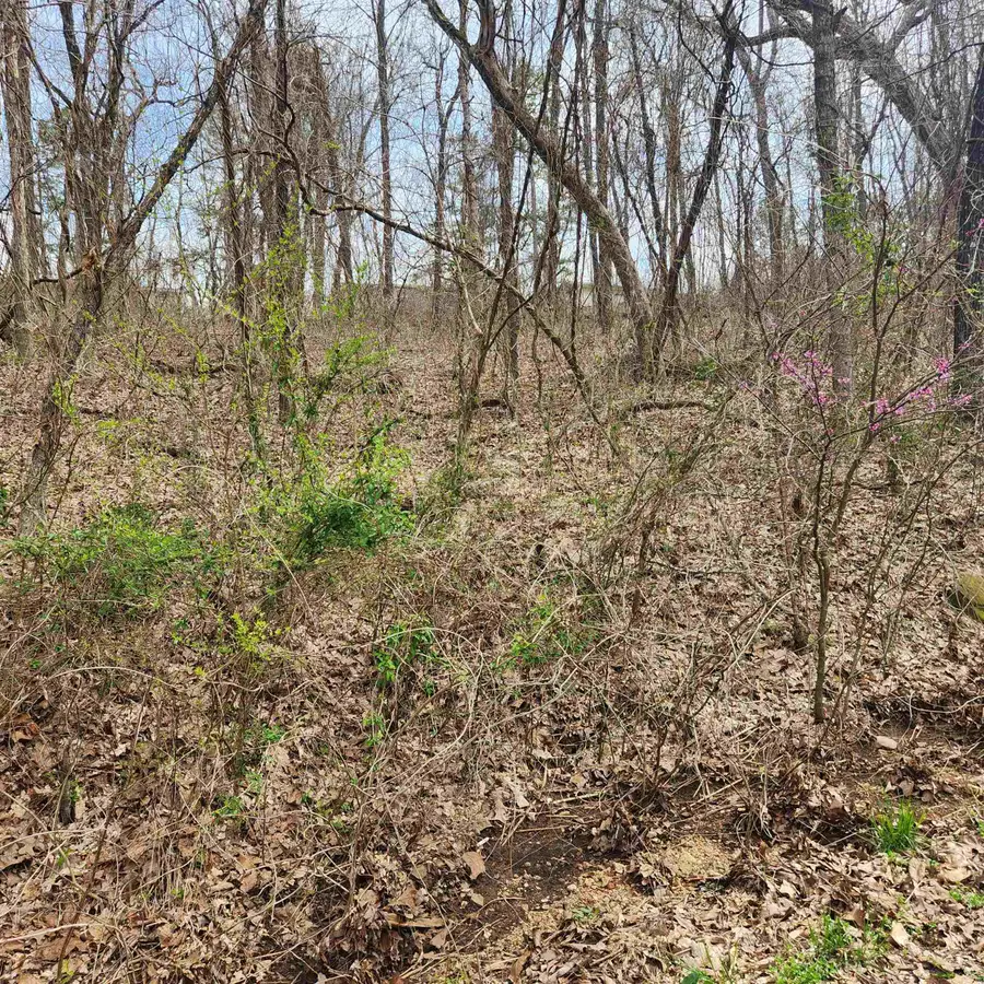 L-15, B-9 Choctaw Drive, Cherokee Village, AR 72529 - Image #2