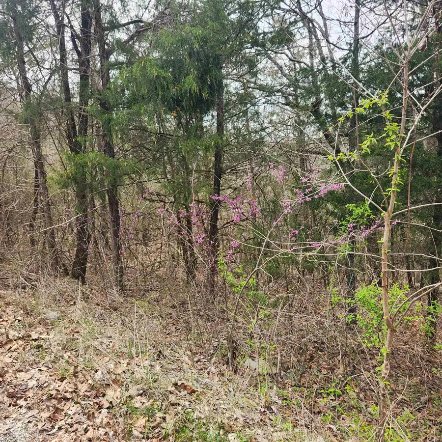 L-8, B-11 Choctaw Drive, Cherokee Village, AR 72529 - Image #3